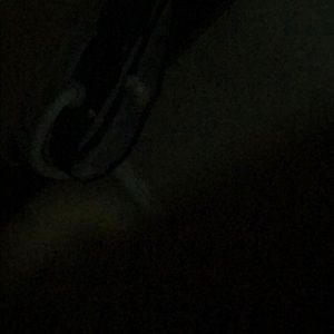 Meet your Posher, Abigail